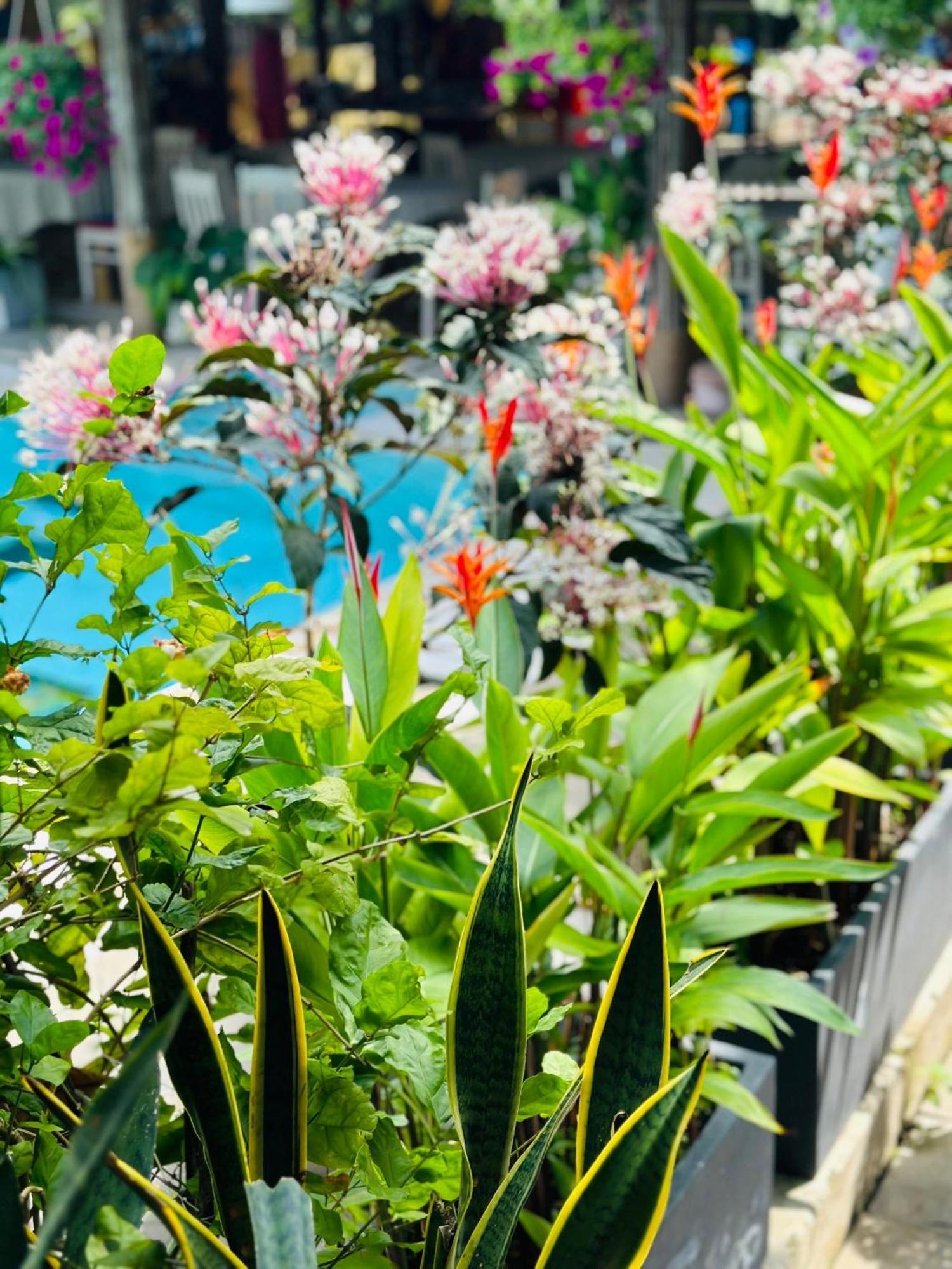 Water Palm Residence Hieu Nhon Esterno foto