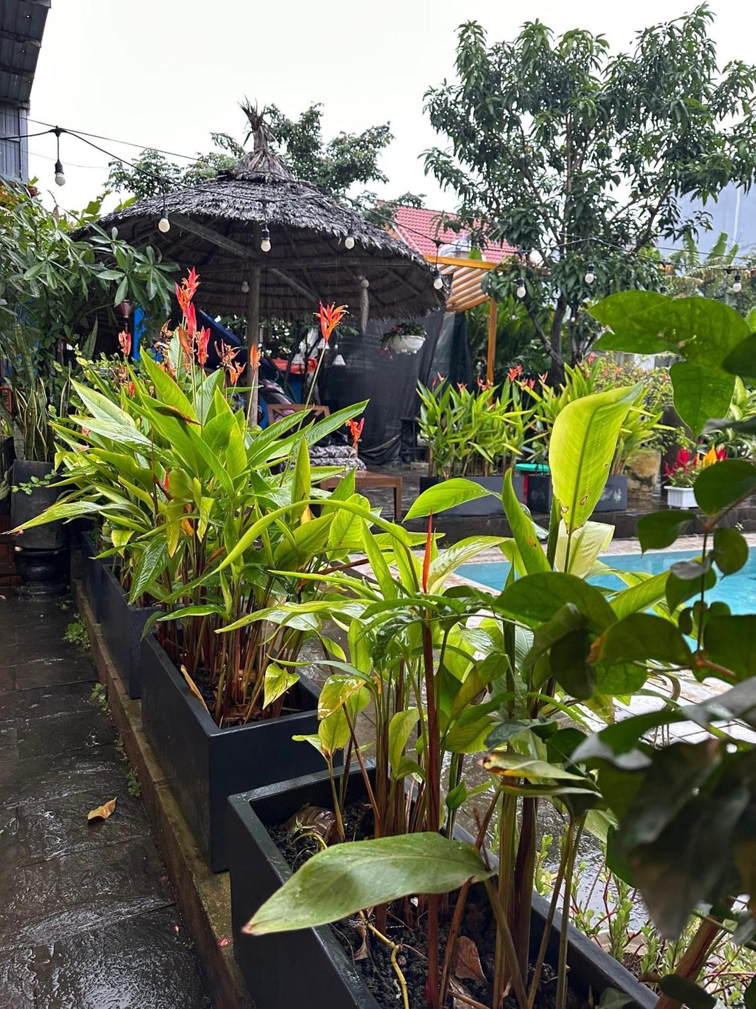 Water Palm Residence Hieu Nhon Esterno foto