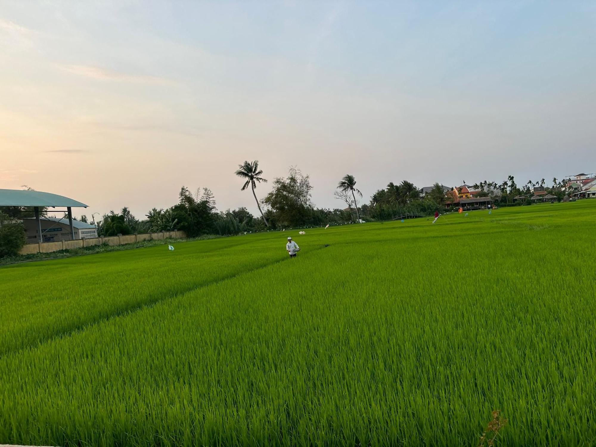 Water Palm Residence Hieu Nhon Esterno foto