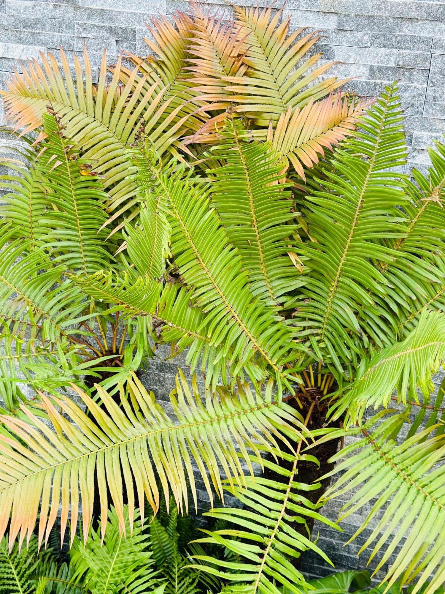 Water Palm Residence Hieu Nhon Esterno foto